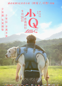 例如，《疯狂动物城》通过地域分区逐步展开沙漠、雨林等生态区域，而《疯狂电脑城》则从“回收站”这一特殊空间切入，以一场篮球赛作为剧情的引爆点。